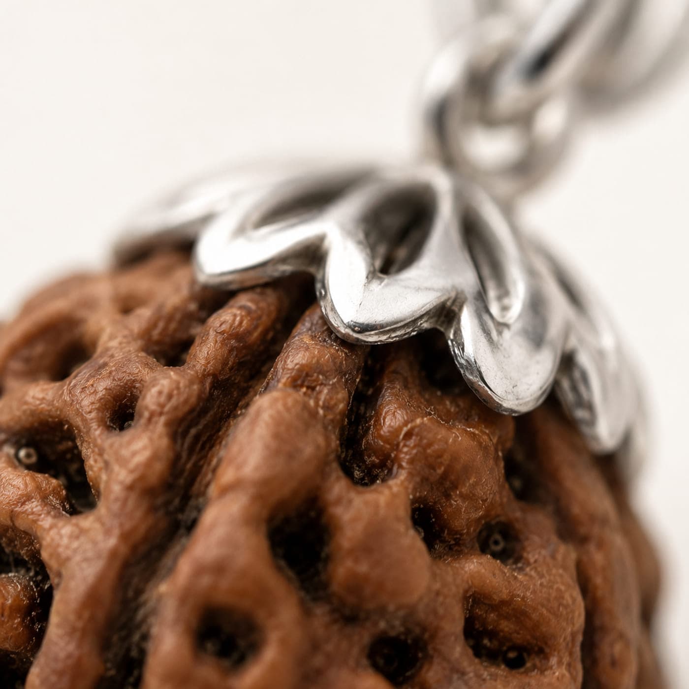 Macro view of the bead's natural mukhi lines under its cap