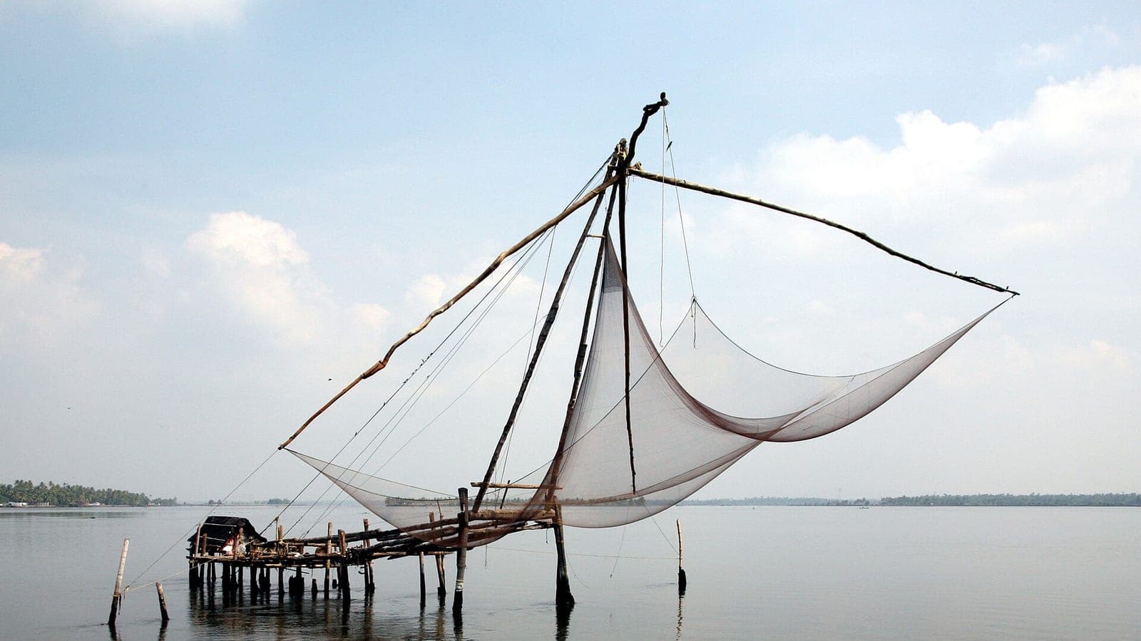 Packers and movers in Kochi, Kerala