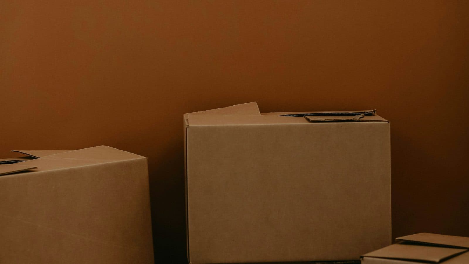 Sponsored Links vs Organic Results: Where Packers and Movers Scams Actually Start